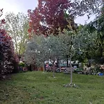 Borgo Dei Cedri 3*