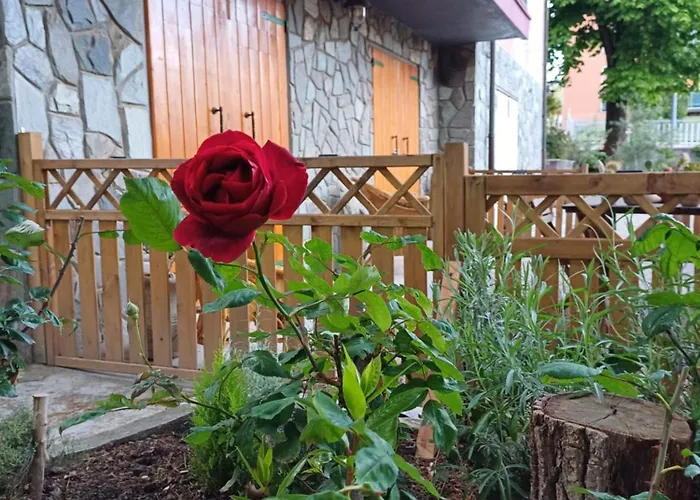 B&B Borgo Dei Cedri 3*